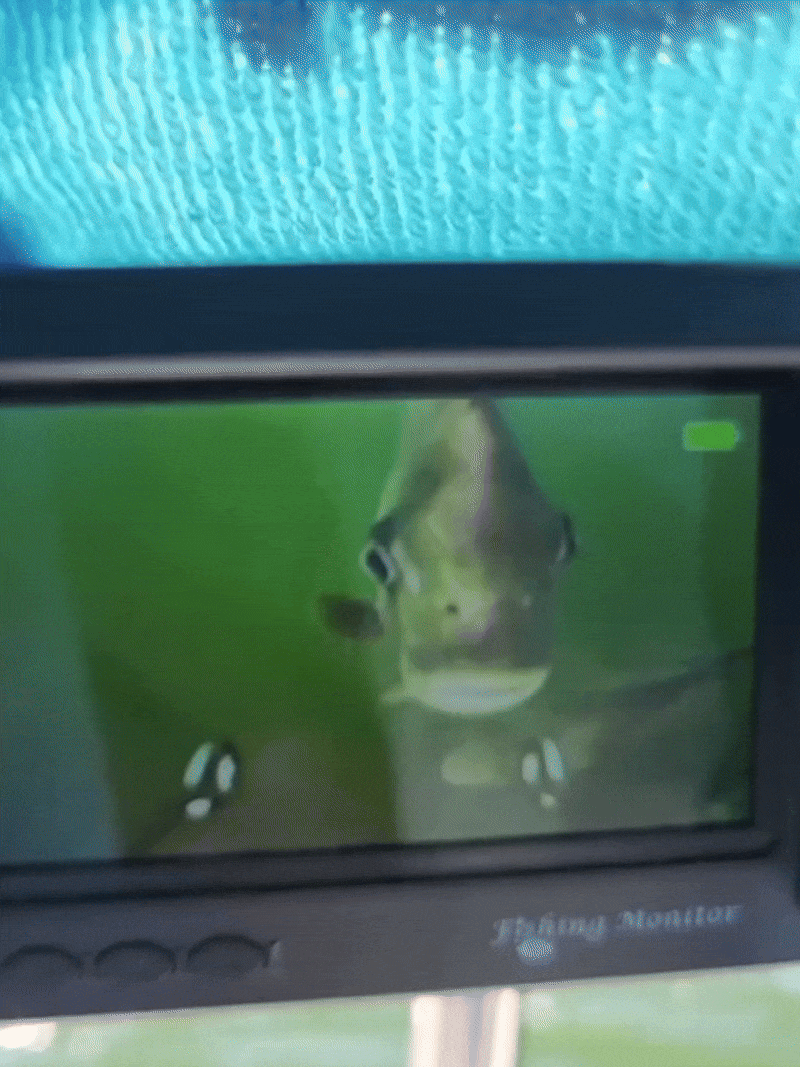 Tidevox Underwater Fishing Camera